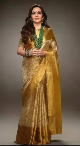 Nita Ambani / Tissue Saree 